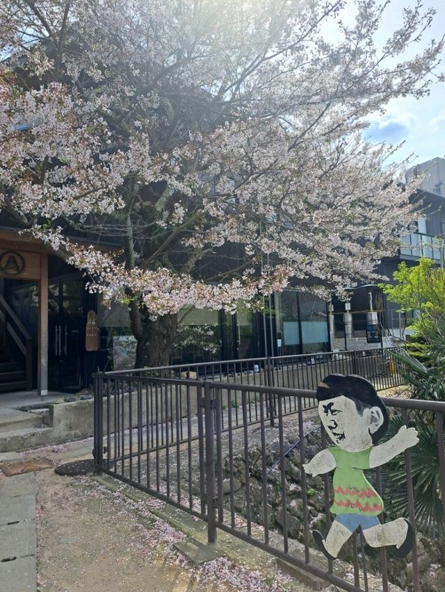 【春旅】桜香る有馬をお散歩♪