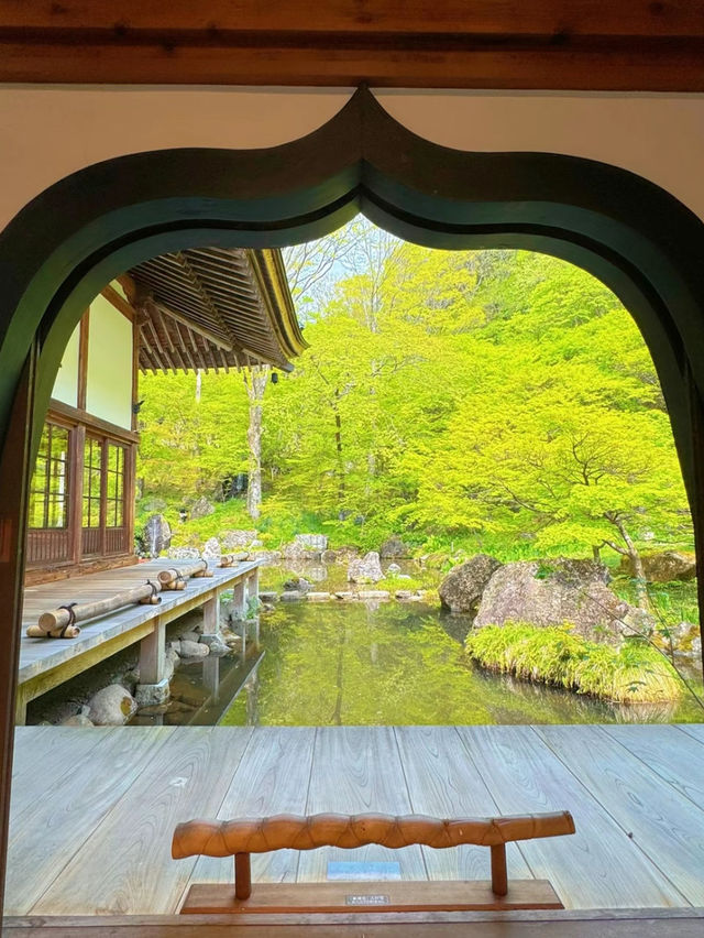 【群馬】日帰りで行ける穴場スポット✨まるで植物園なお寺さんのハート型リフレクションが絶景