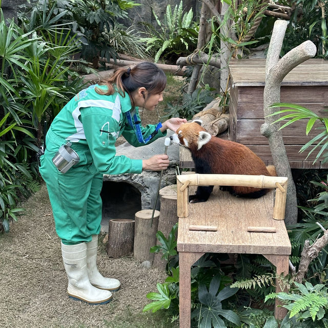 Ocean park Hong Kong