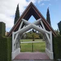 Rose garden in Timaru that you should not miss