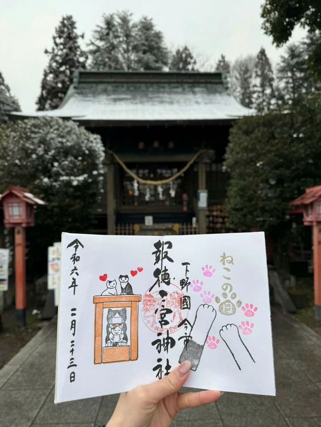 【栃木】猫好きは絶対に行ってほしい🐈かわいい御朱印のある神社