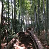 The Takenoko Park