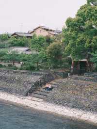 京都 | 宇治一日遊 造訪抹茶之鄉🍵