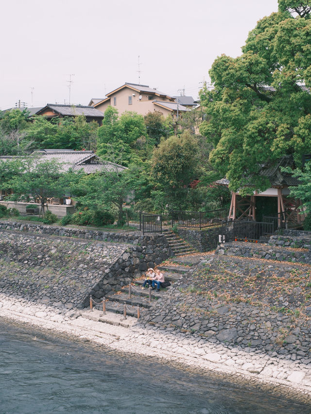 京都 | 宇治一日遊 造訪抹茶之鄉🍵