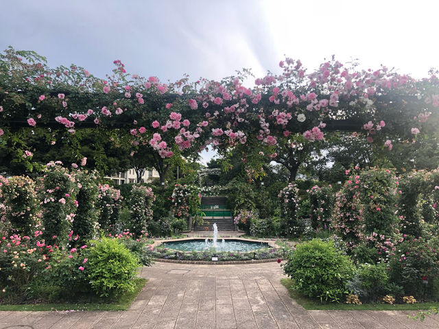 港の見える丘公園@横浜🌹