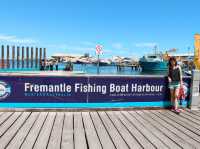 Charming Harbour in Perth, Western Australia 🇦🇺