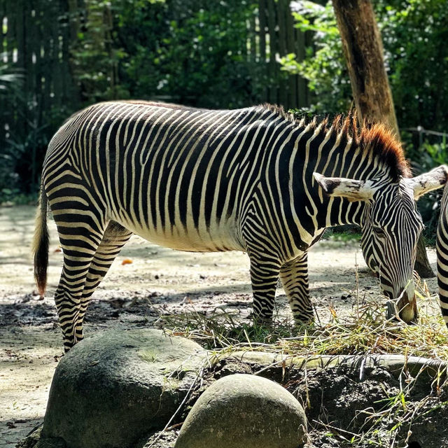 足立區生物園：多彩動物體驗