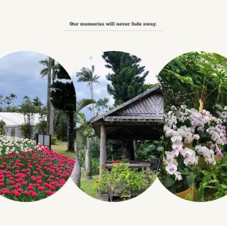 「萬葉植物園：豐富多彩的自然畫捲」