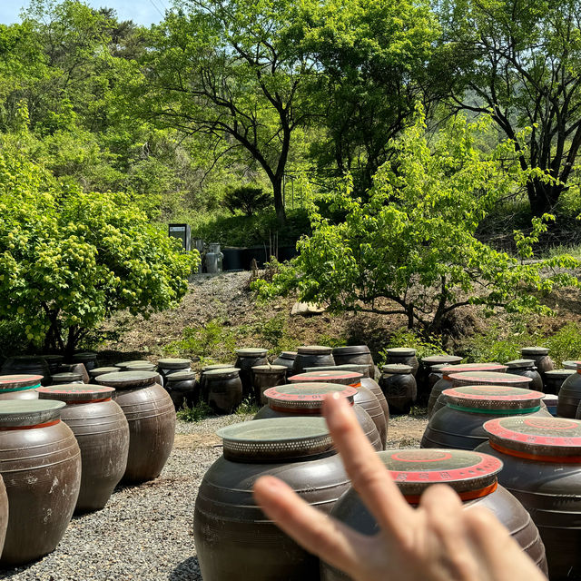 韓国食レポ番組(チャン・グンソクさん出演回)味噌作りのランチ営業のお店