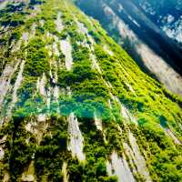 【長野県/荘厳な雰囲気のある樹齢約400年以上の杉並木🌲に木漏れ日が差し込む美しい風景✨】