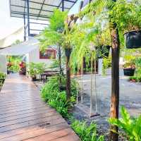NatureHide Coffee&Tree