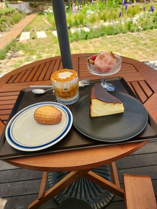 반려동반  가능한 커피 맛집 테이스티가든