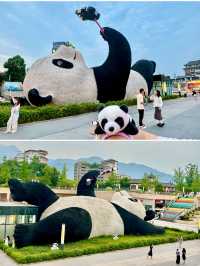 【四川】都江堰仰天窩自拍熊貓、南橋藍眼淚