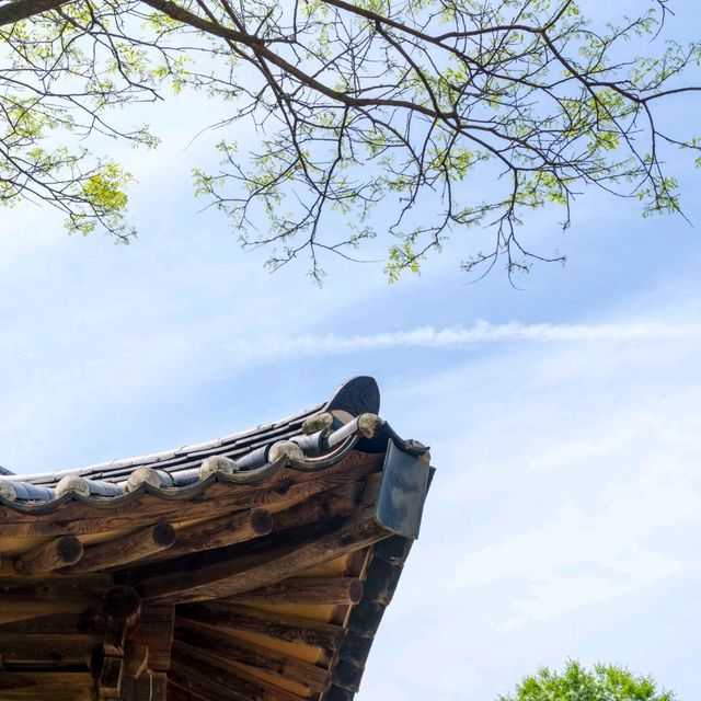 영주 선비촌에는 특별한 상회가 열린다? 주말 공휴일에 열리는 선비상회!