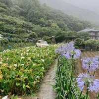 南牧場：原生態自然環境，深入感受島嶼魅力