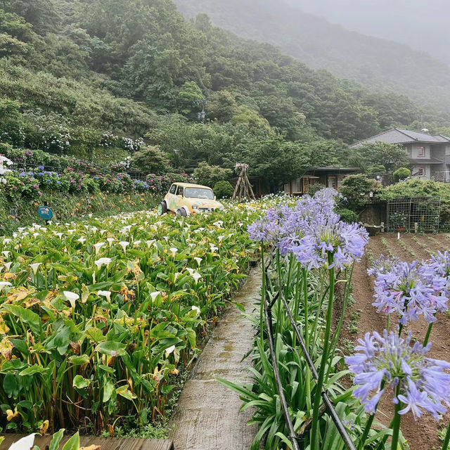 南牧場：原生態自然環境，深入感受島嶼魅力