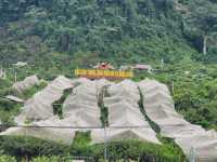 Na Ka Plum Valley