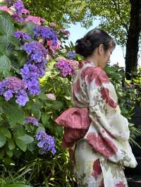 〜神奈川県〜人気紫陽花スポット！混雑回避プラン