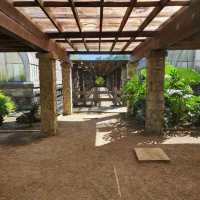 【春天賞花踏青】仁山植物園：百花齊放，適合親子活動和教育體驗