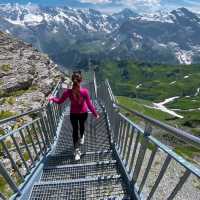 Thrill Walk