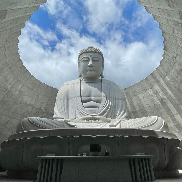 Serenity Amidst Architectural Splendor