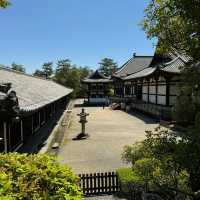 伽耶院：古老寺院庭園，心靈淨化