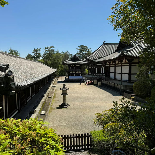 伽耶院：古老寺院庭園，心靈淨化