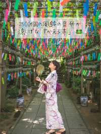 2500個の風鈴の音色が涼しげな『かえる寺」🐸