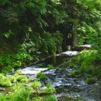 Shiraito Falls 