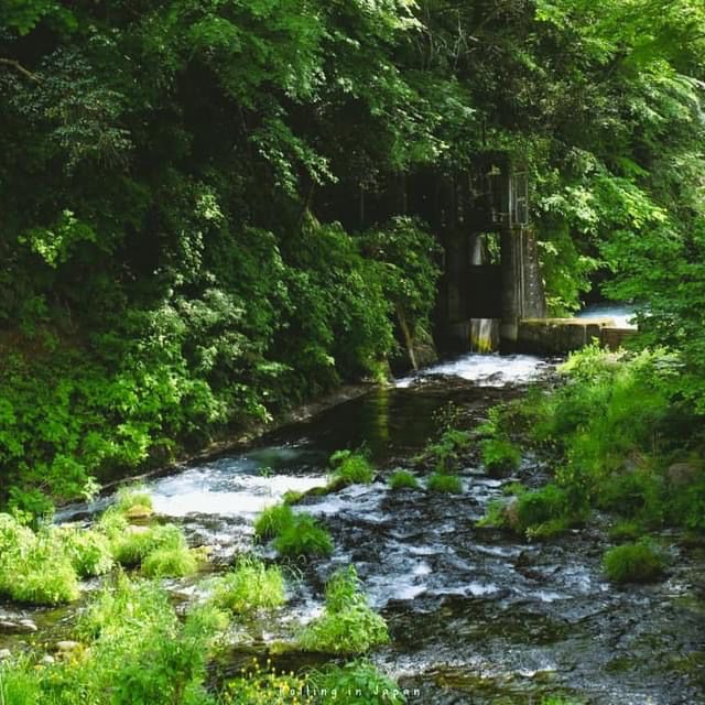 Shiraito Falls 
