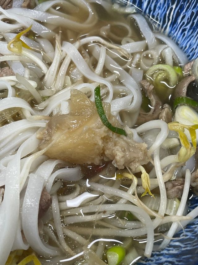서울 쌀국수 맛집 왕십리 팜타진 쌀국수