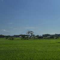 ทริปอินโดนีเซีย 5 วัน 4 คืน (เกาะชวา) เน้นกิน