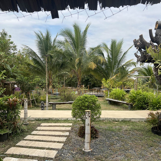 สวนเกษตรรักษ์ไผ่ สุรินทร์