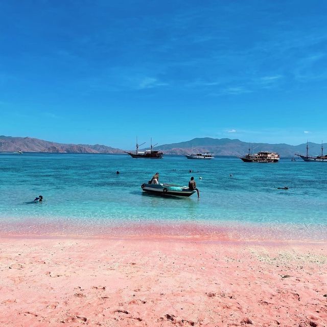 pink beach komodo island