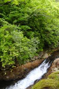 「黑川溫泉山花水木別邸 深山山莊」：價格優惠，享受寧靜的日式住宿和美食