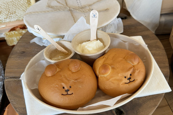 可愛すぎる！くまちゃんパン専門店🐻 | Trip.com ソウル
