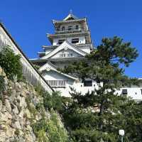 【愛媛県】日本三大水城！今治城をご紹介