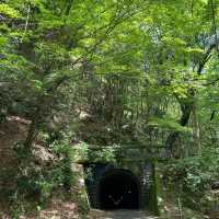 考索國家公園：原始自然生態～世外桃源