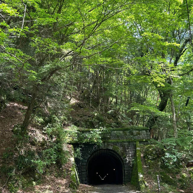 考索國家公園：原始自然生態～世外桃源