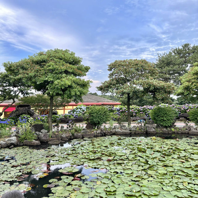 제주여행🏝️ 동화 속 작은 마을, 동쪽 송당 동화마을🩵