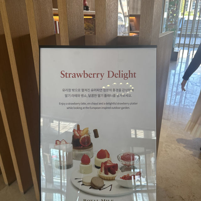 《韓国 / 江西区》 金浦空港からすぐ！ソウル5つ星ホテル MAFIELD HOTELでティータイム✨