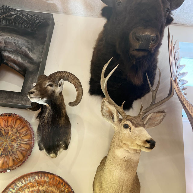 Exotic shopping at Alaska Ketchikan Creek St 🇺🇸 