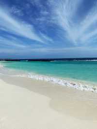 Get lost in the Indian Ocean Sea 🐬
