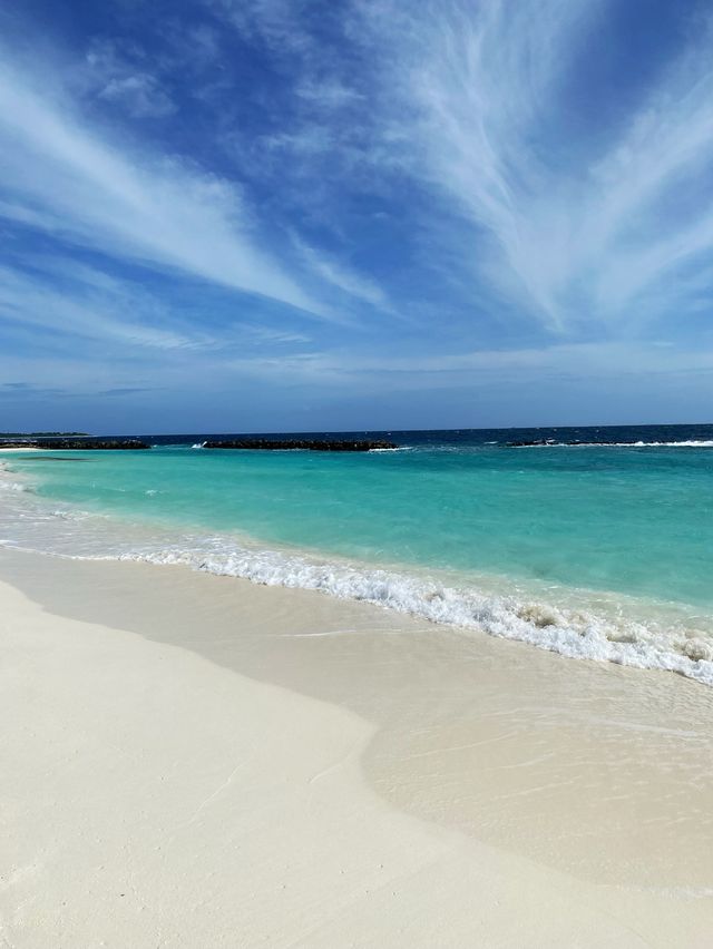 Get lost in the Indian Ocean Sea 🐬