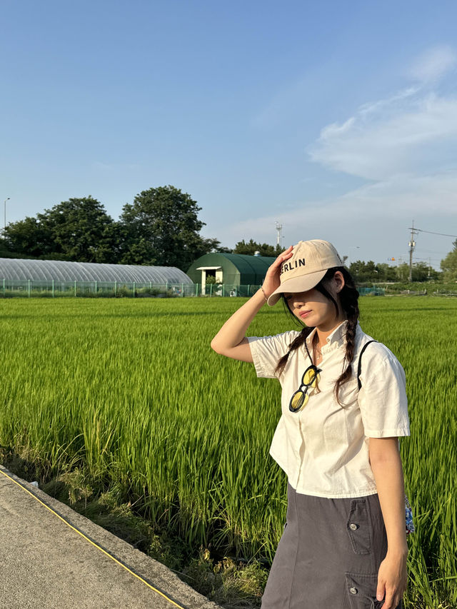 자연친화적인 도시 인천 경인 아라뱃길