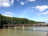 Kukup Island Johor National Park