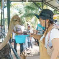 สวนน้ำที่ใหญ่ที่สุดในจังหวัดปัตตานี  