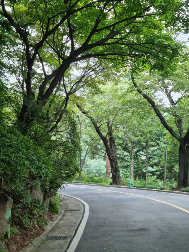 서울에서 사계절을 즐길 수 있는 드라이브 코스 겸 산책로를 추천합니다!!