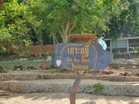 ดำน้ำเกาะเสม็ด