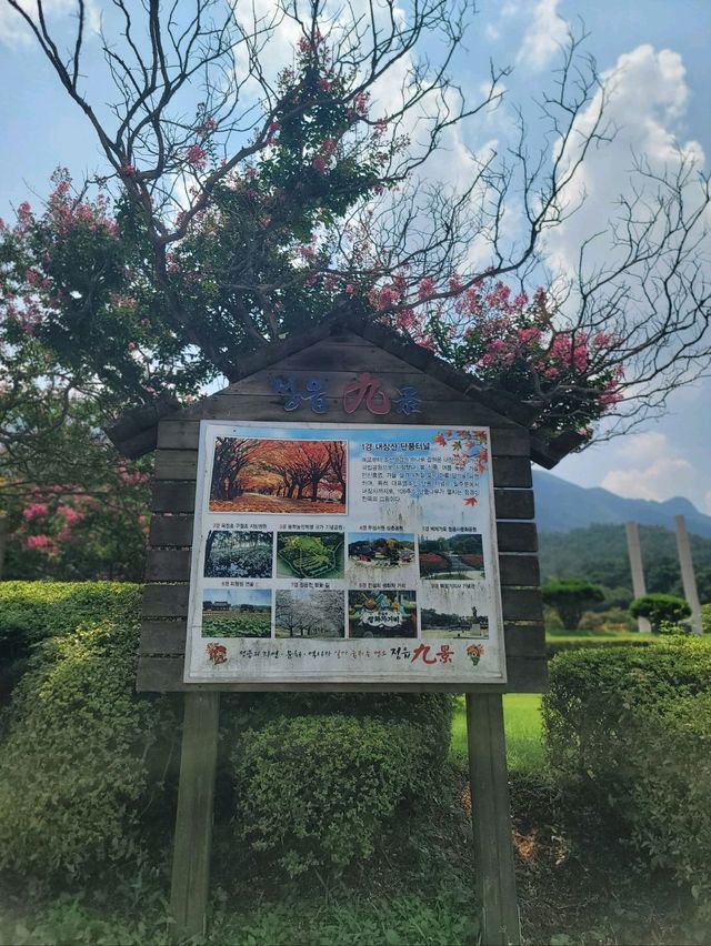 커다란 눈사람이 반겨주는 내장산조각공원💚